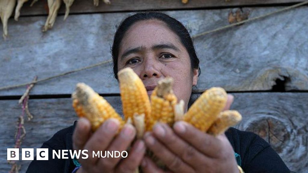 Los graves efectos que los científicos temen en América Latina por el fenómeno del "Súper El Niño"