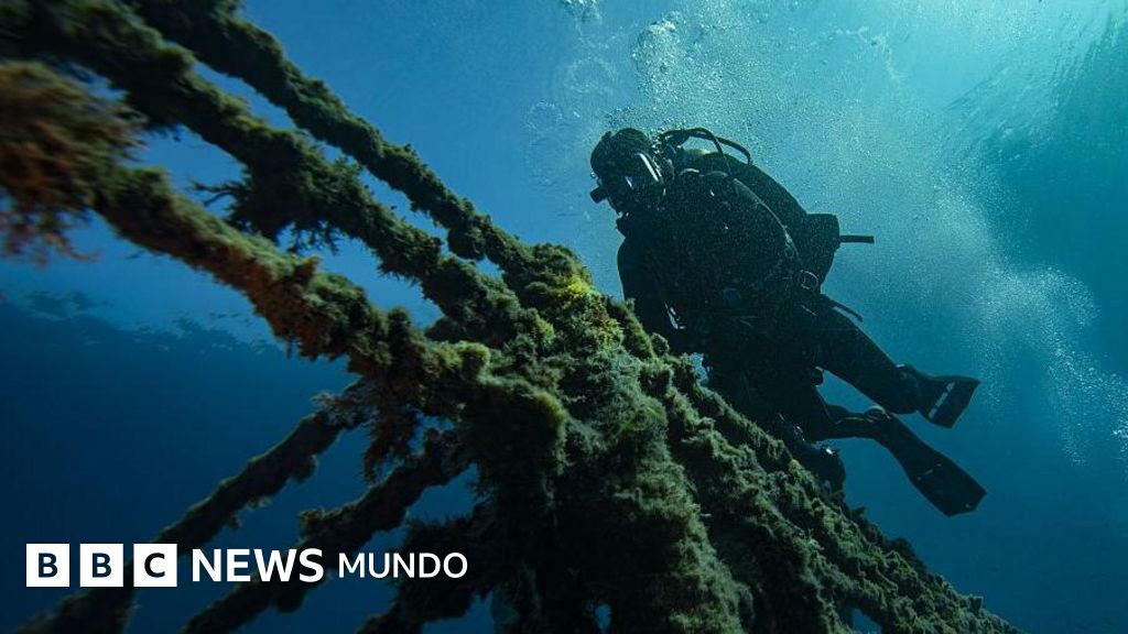 Cómo los buques varados en el estrecho de Ormuz pueden desencadenar una "superpropagación" de especies marinas invasoras