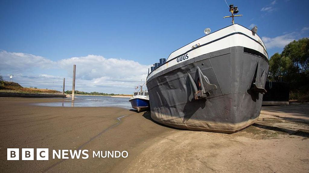 La histórica sequía que afecta al Rin y al Danubio, los principales ríos de Europa (y que amenaza con provocar un shock económico y energético)