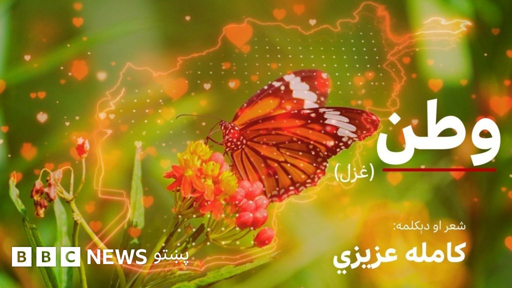 موږ خو هم تر یاره لوړ په زړونو کې ساتل وطن - BBC News پښتو