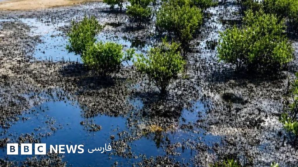 لکه نفتی در سواحل قشم