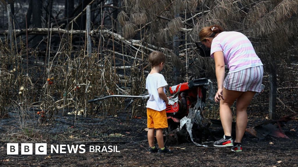 Incêndios florestais na França revelam centenas de projetéis da Segunda Guerra Mundial