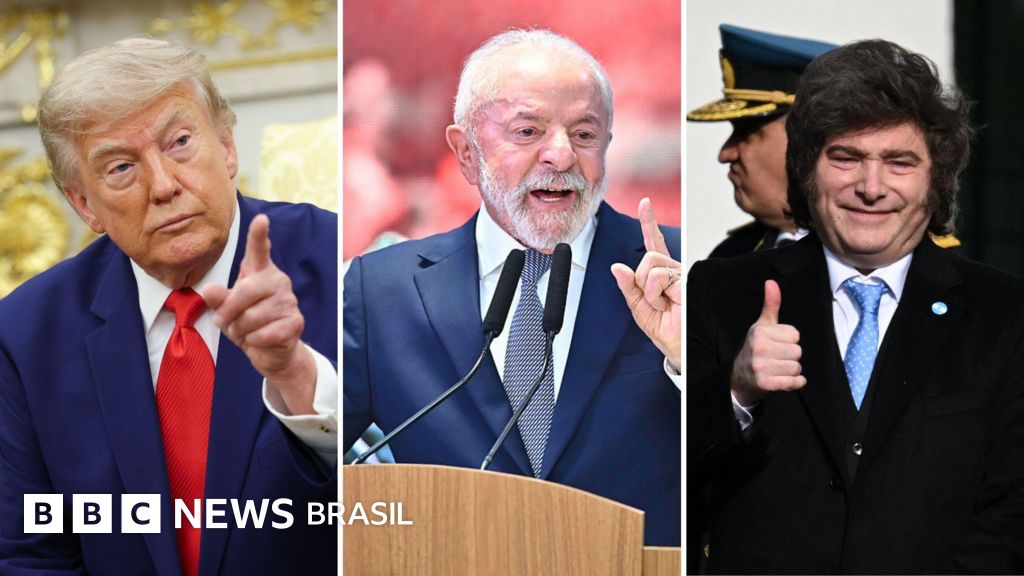 'Milei e Trump compartilham antipatia por Lula e ficariam satisfeitos com eleição de Flávio Bolsonaro'