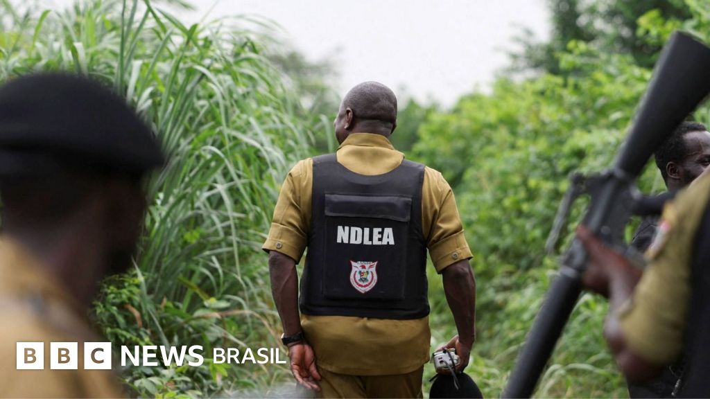 Como carteis de droga do México terceirizaram laboratórios de metanfetamina na África