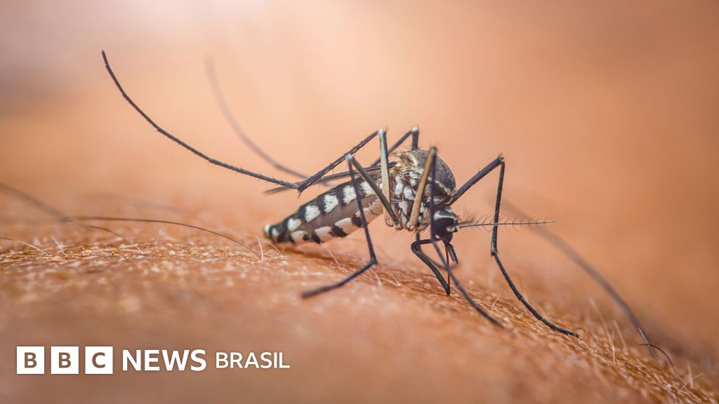 Por que existe o Dia Mundial do Mosquito, e o que isso tem a ver com o Nobel