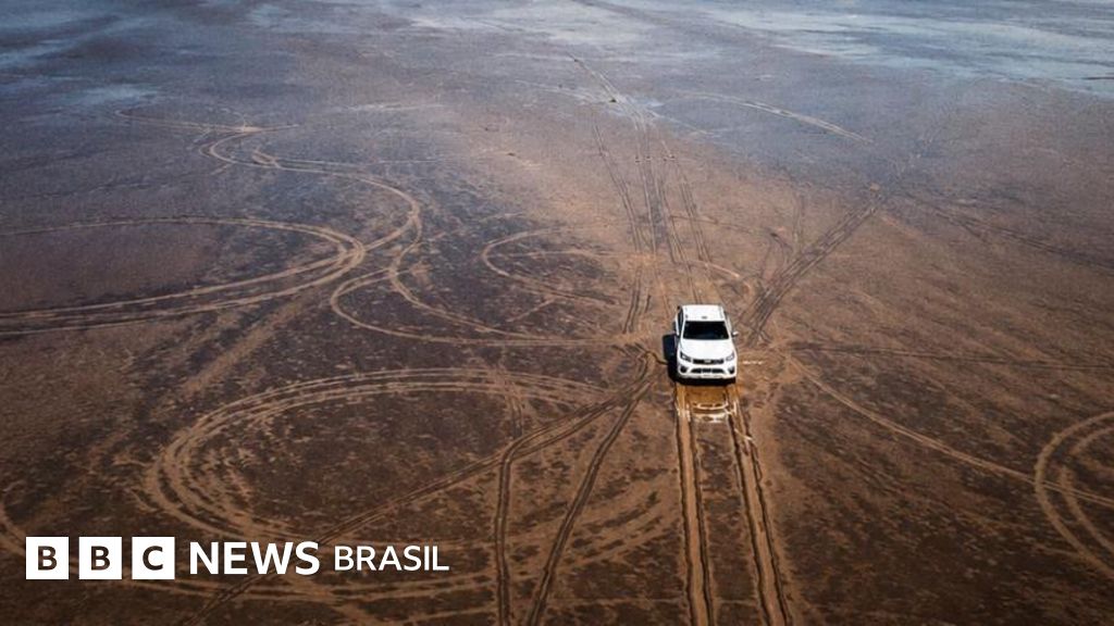 A indignação com os danos ambientais causados ​​por um homem com seu caminhão em ecossistema único na Argentina