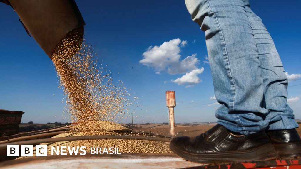 EUA podem perder para o Brasil o papel de maior exportador agrícola do mundo, diz Financial Times