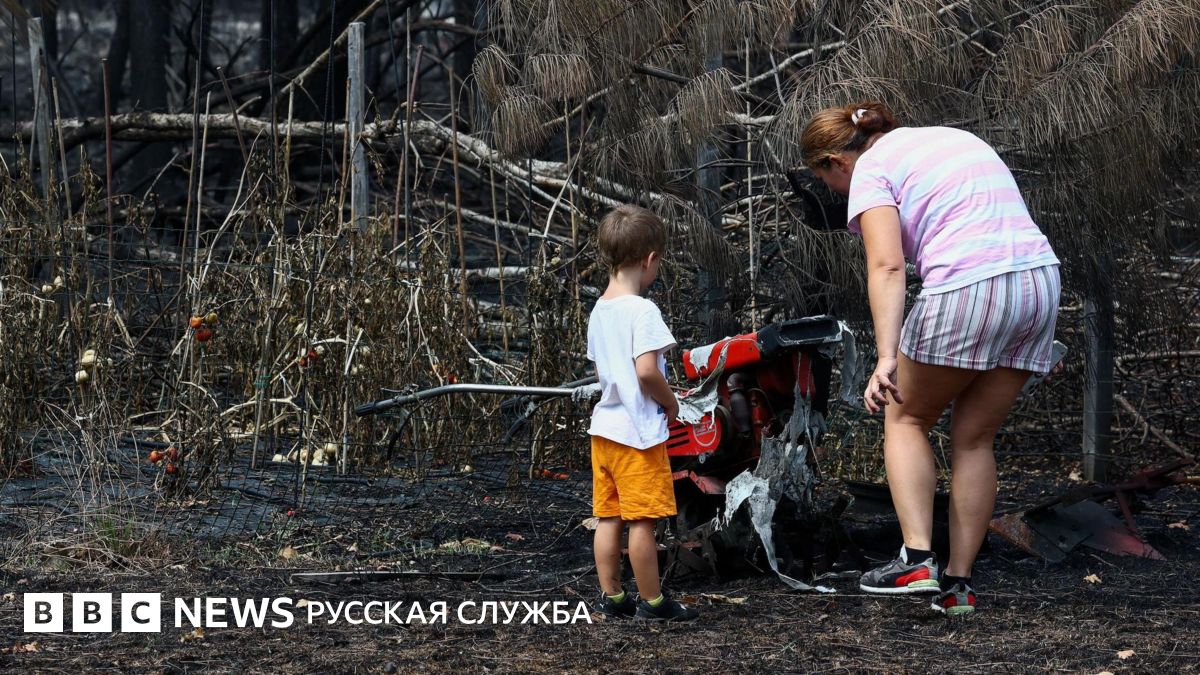 После лесных пожаров во французской деревне обнаружены сотни снарядов времен Второй мировой войны