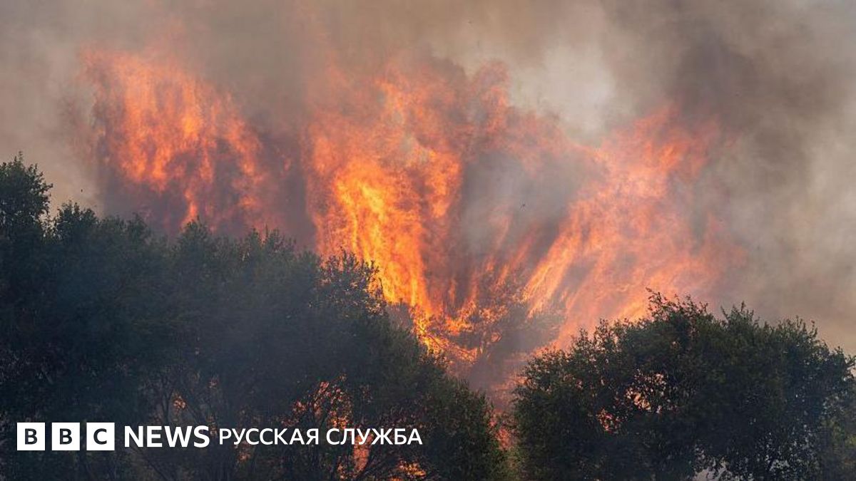 Власти Испании заявили, что пожары вблизи Мадрида невозможно взять под контроль