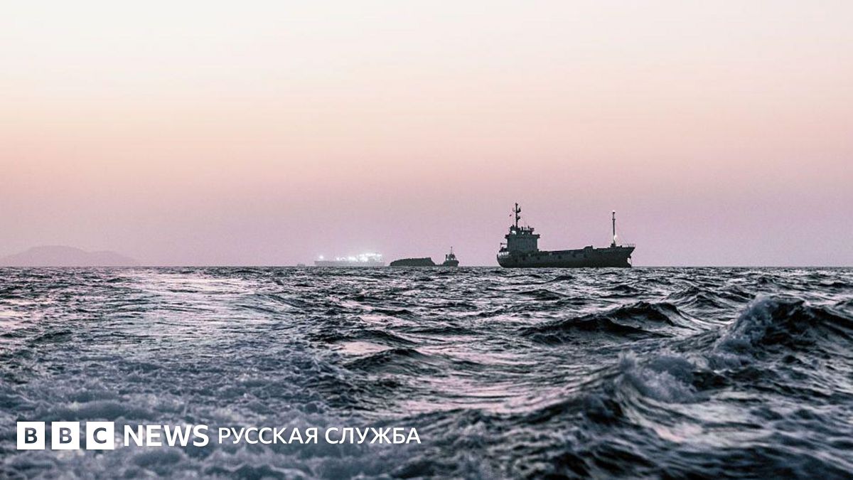 Застрявшие в Ормузском проливе суда могут разнести по всему миру опасные инвазивные виды водорослей и беспозвоночных, предупреждают ученые