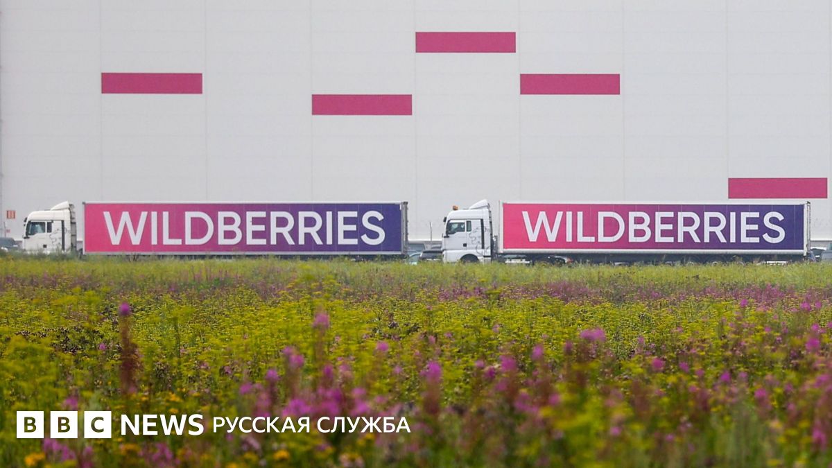 Дроны атаковали склады Wildberries в Тамбовской и Московской областях. Семь человек погибли, почти 50 пострадали