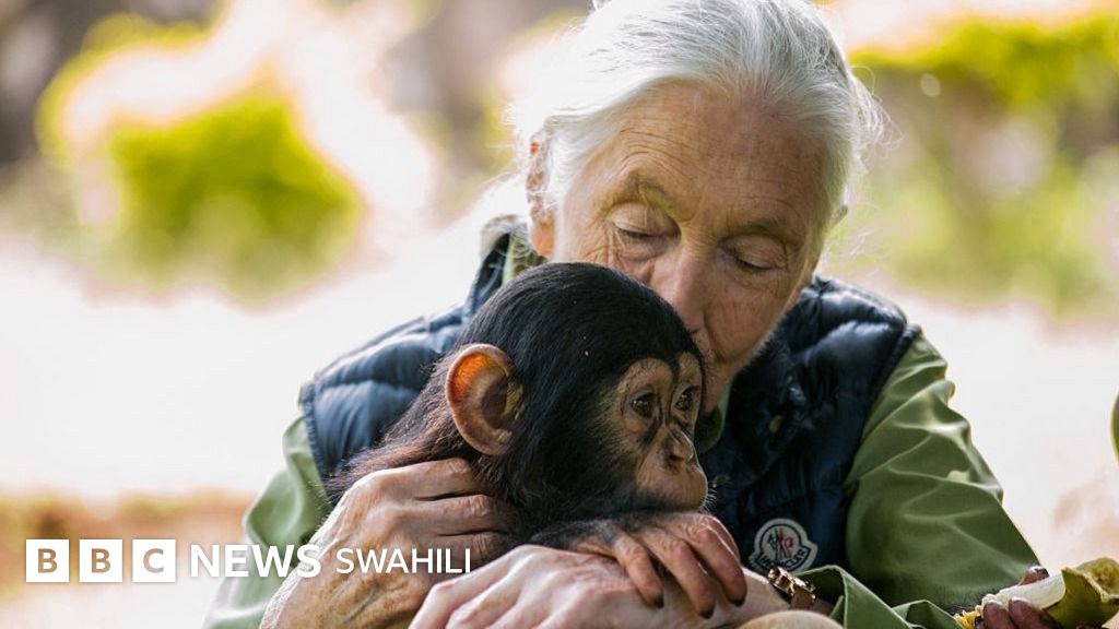 Photo: bbc.com