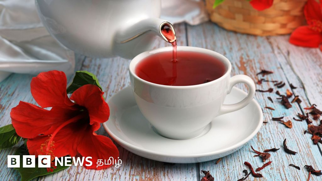 செம்பருத்தி, மல்லிகை உள்பட நாம் உணவாக உட்கொள்ள ஏற்ற 5 மலர்கள்