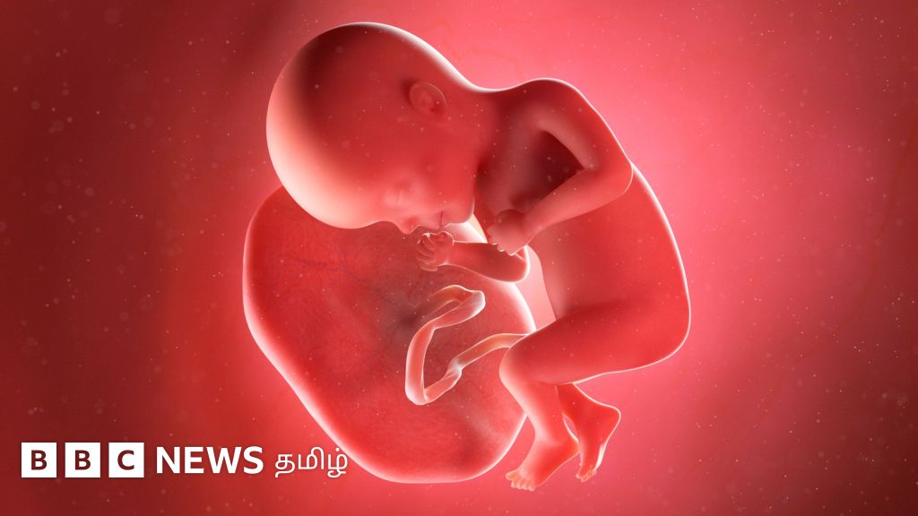 பிறந்த பிறகு தூக்கி எறியப்படும் மனித நஞ்சுக்கொடி எப்படி கோடிக்கணக்கான டாலர் சந்தையாக மாறியது?