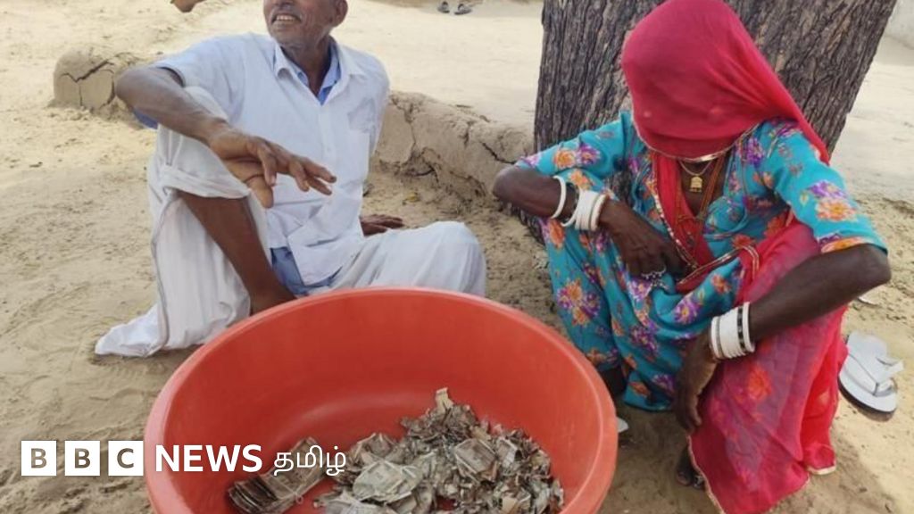 வயலில் புதைத்த ரூ.5 லட்சத்தை அரித்த கரையான்கள்; வேதனையில் முதிய தம்பதி