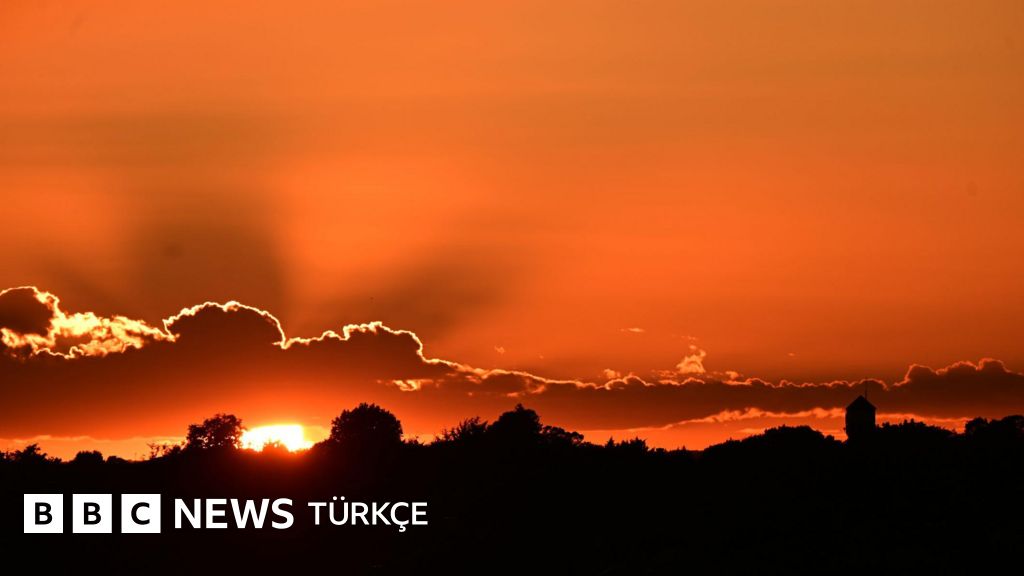 İngiltere'de aşırı sıcaklar yaklaşık üç bin kişinin ölümüne yol açtı