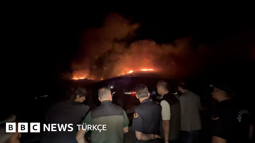 Muğla'da orman yangınları: Milas'taki yangına müdahale sürüyor