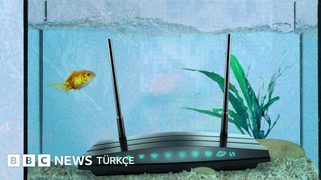 Evinizdeki Gizli Wi-Fi Düşmanları ve Bağlantı Kalitesini Artırma Yolları