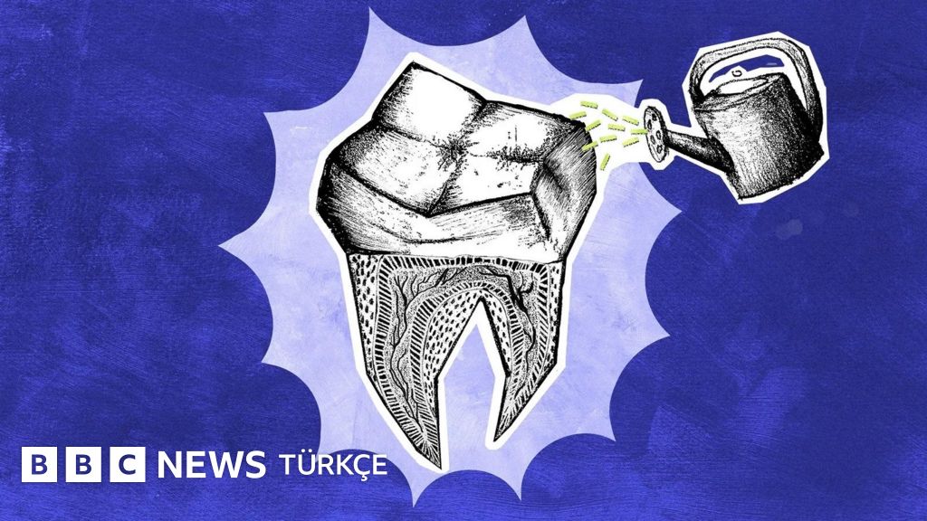 İnsan dişi geliştirmede hangi aşamadayız?