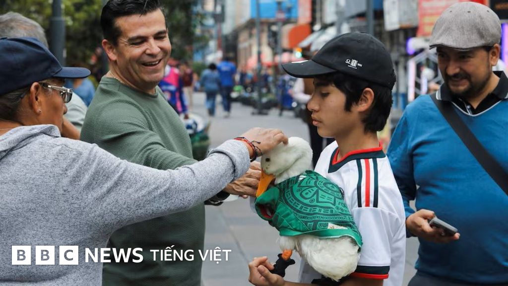 World Cup 2026: Vì sao vịt 'tiên tri' Merlín trở nên nổi tiếng?