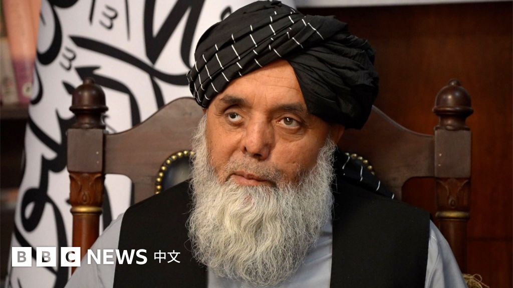 離婚、智能手機與管控——BBC觀察塔利班如何治理阿富汗