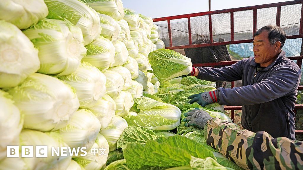 「甲醛白菜」再現中國：食品安全監管的盲區在哪裡？