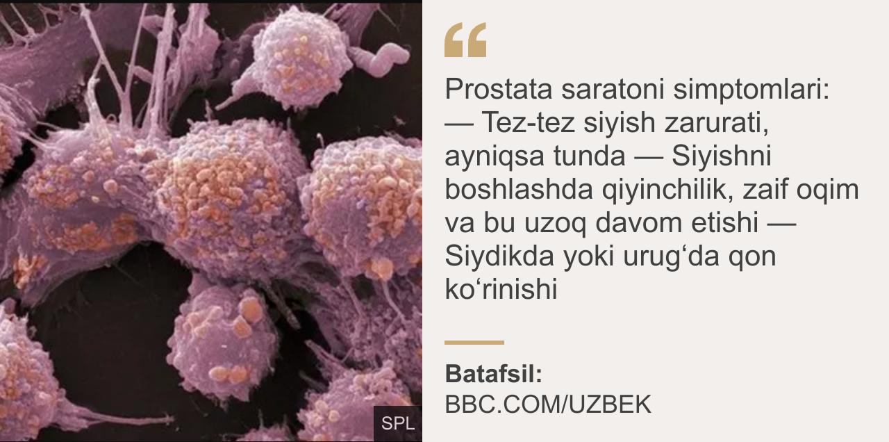 Үлкен мүшесі бар нағыз секс