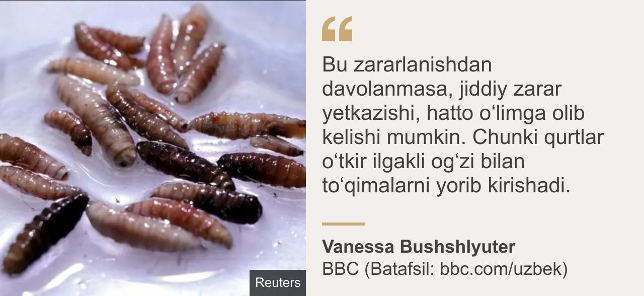 Табиғаттағы жалаңаш француз әйелдері