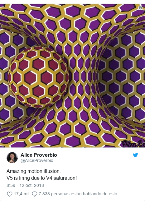 Publicación de Twitter por @AliceProverbio: Amazing motion illusion. V5 is firing due to V4 saturation! 
