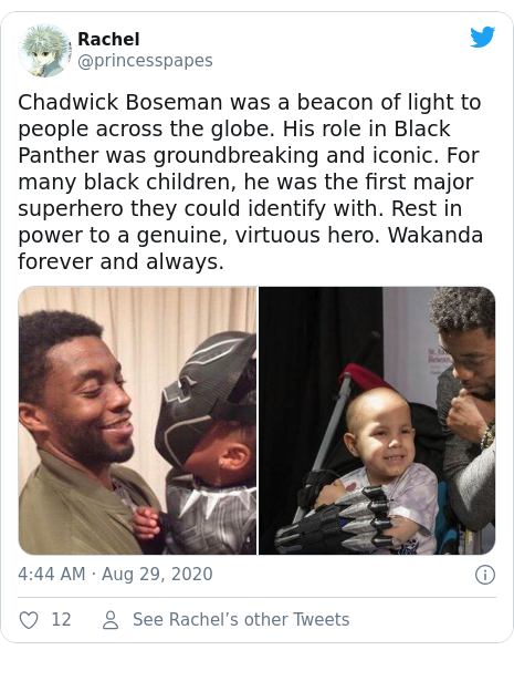 Twitter post by @princesspapes: Chadwick Boseman was a beacon of light to people across the globe. His role in Black Panther was groundbreaking and iconic. For many black children, he was the first major superhero they could identify with. Rest in power to a genuine, virtuous hero. Wakanda forever and always. 