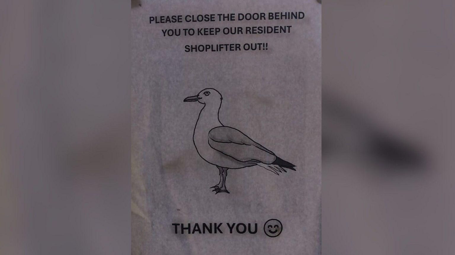 a paper poster with a picture of a seagull and the message "please close the door behind you to keep our resident shoplifter out! Thank you.""