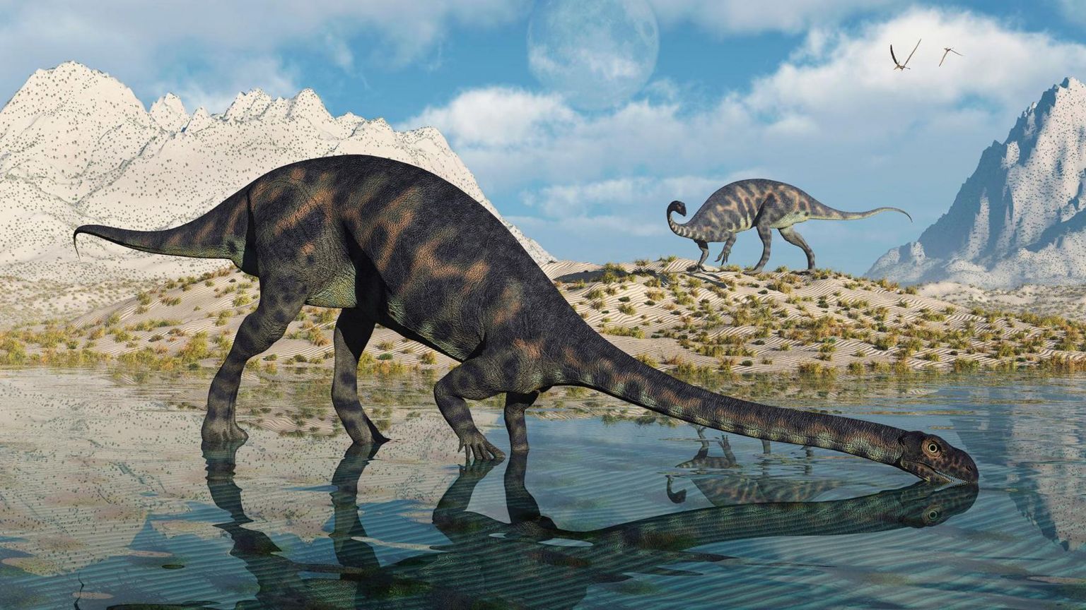 An illustration of a of massospondylus at a watering hole