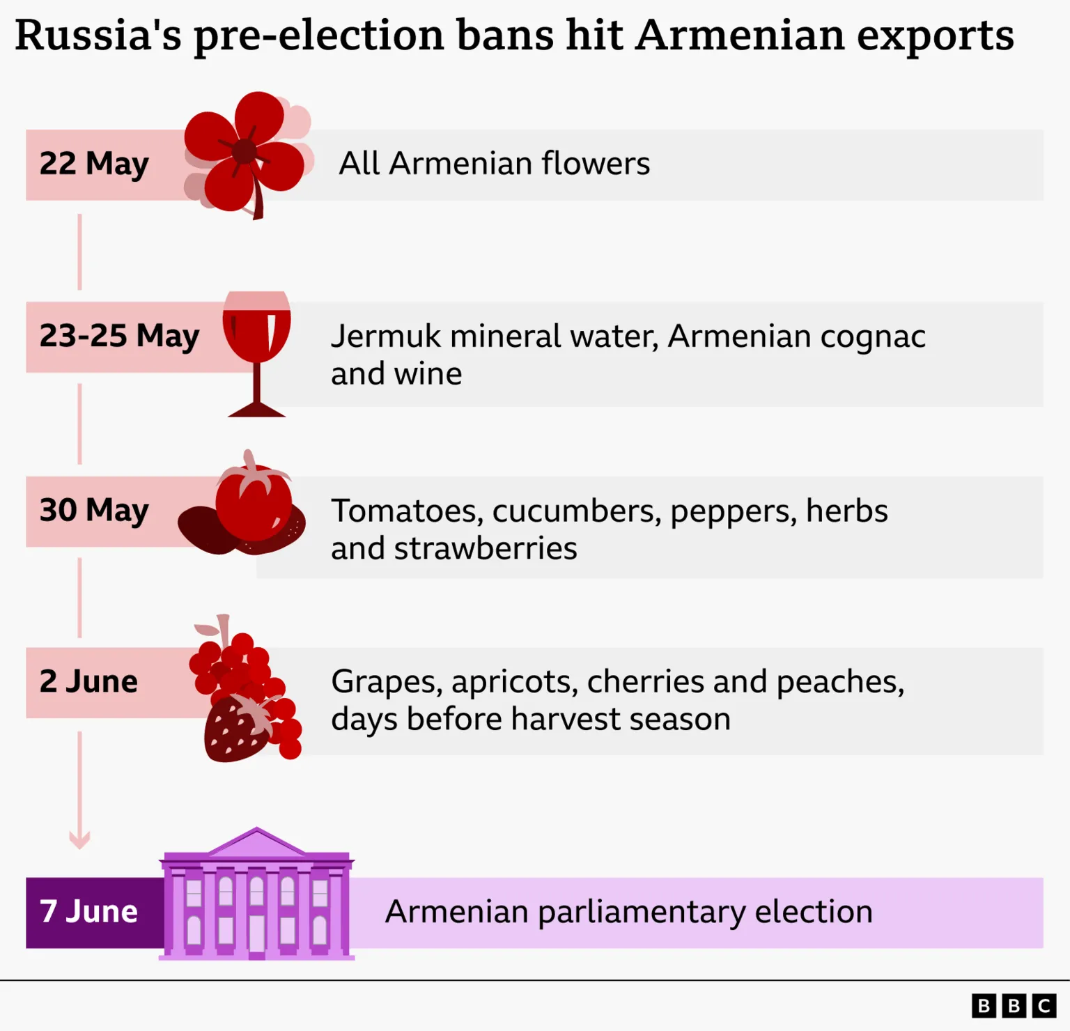 Infographic timeline titled “Russia's pre-election bans hit Armenian exports.” It shows a sequence of export restrictions: on 22 May, all Armenian flowers; from 23–25 May, Jermuk mineral water, Armeni