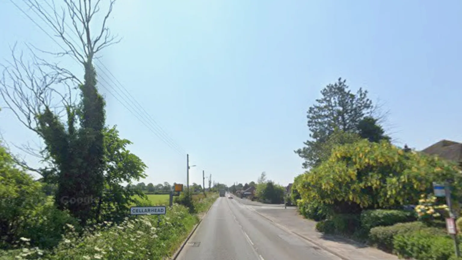 Trentham: where things stand — image 6