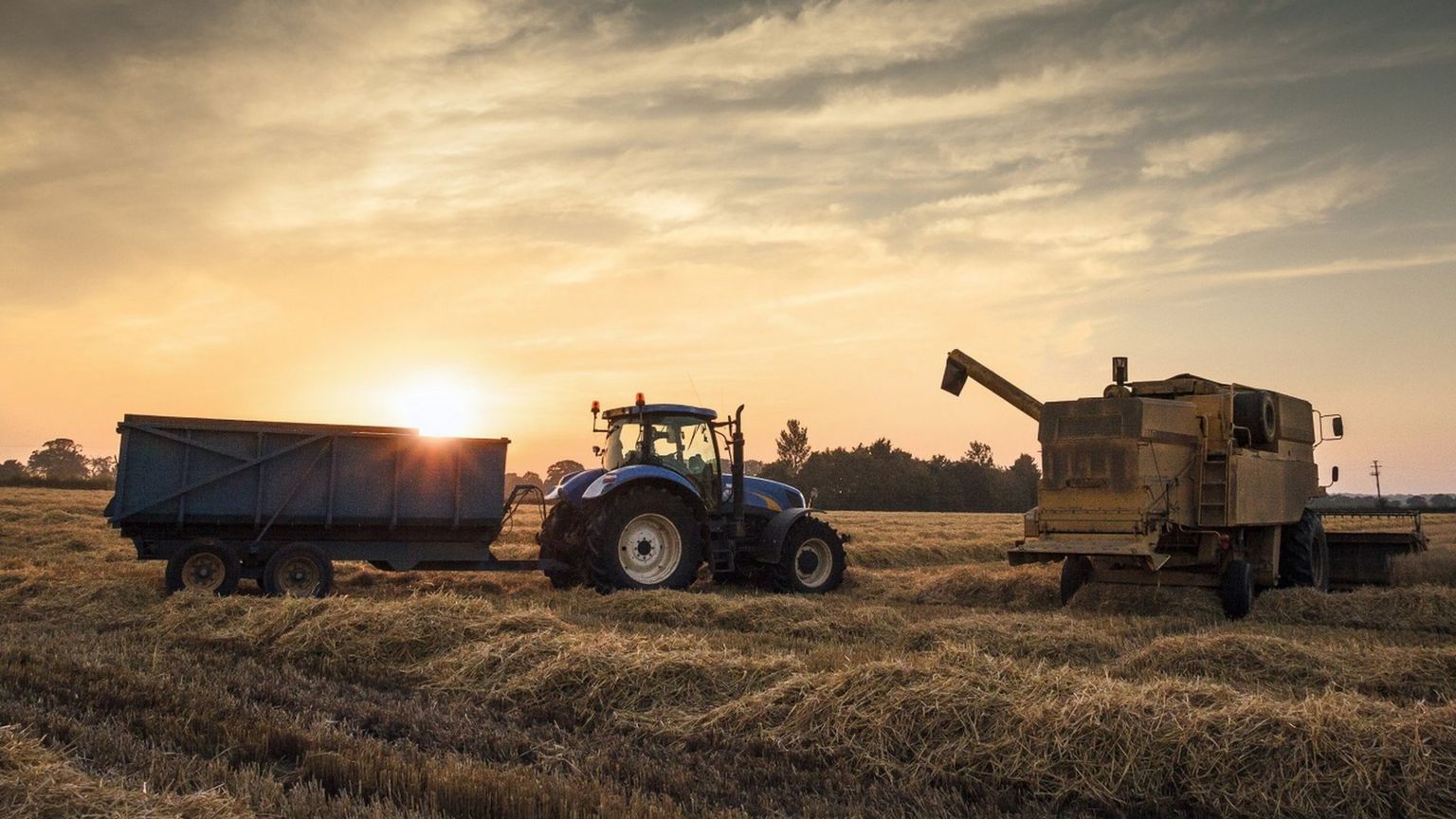 A tractor and combine harvester at sunset in a cornfield