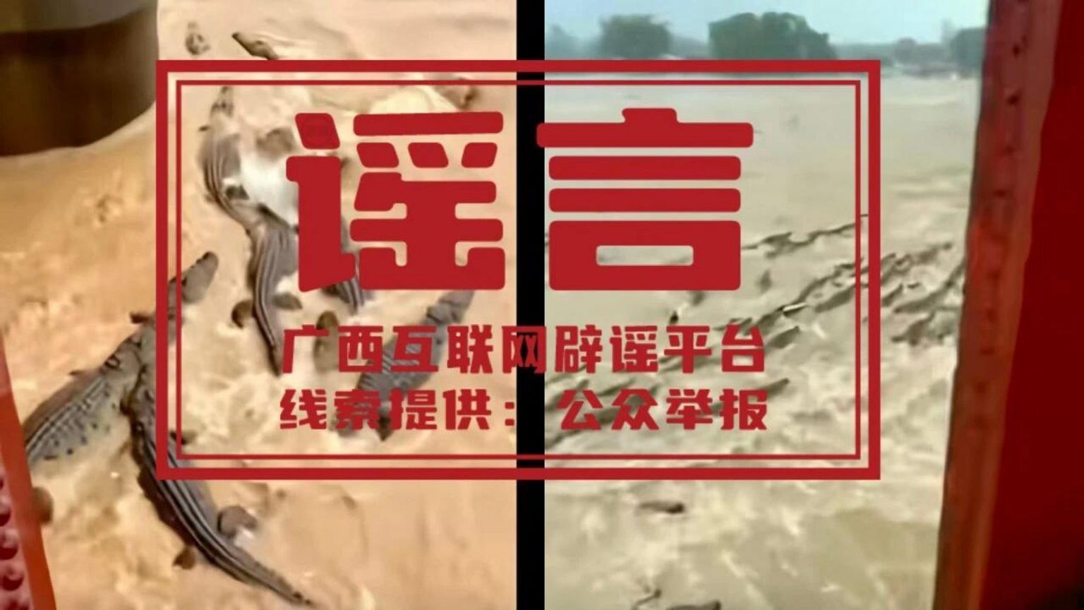 一张据称来自中国的虚假AI内容截图,内容显示鳄鱼在洪水期间逃入河中。