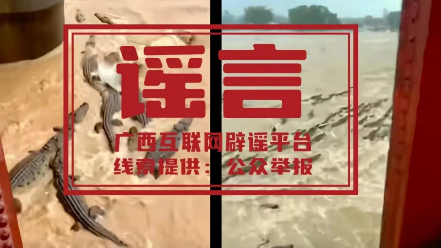 Social media Screenshot of fake AI content in China, purportedly showing crocodiles escaping into a river during a flood