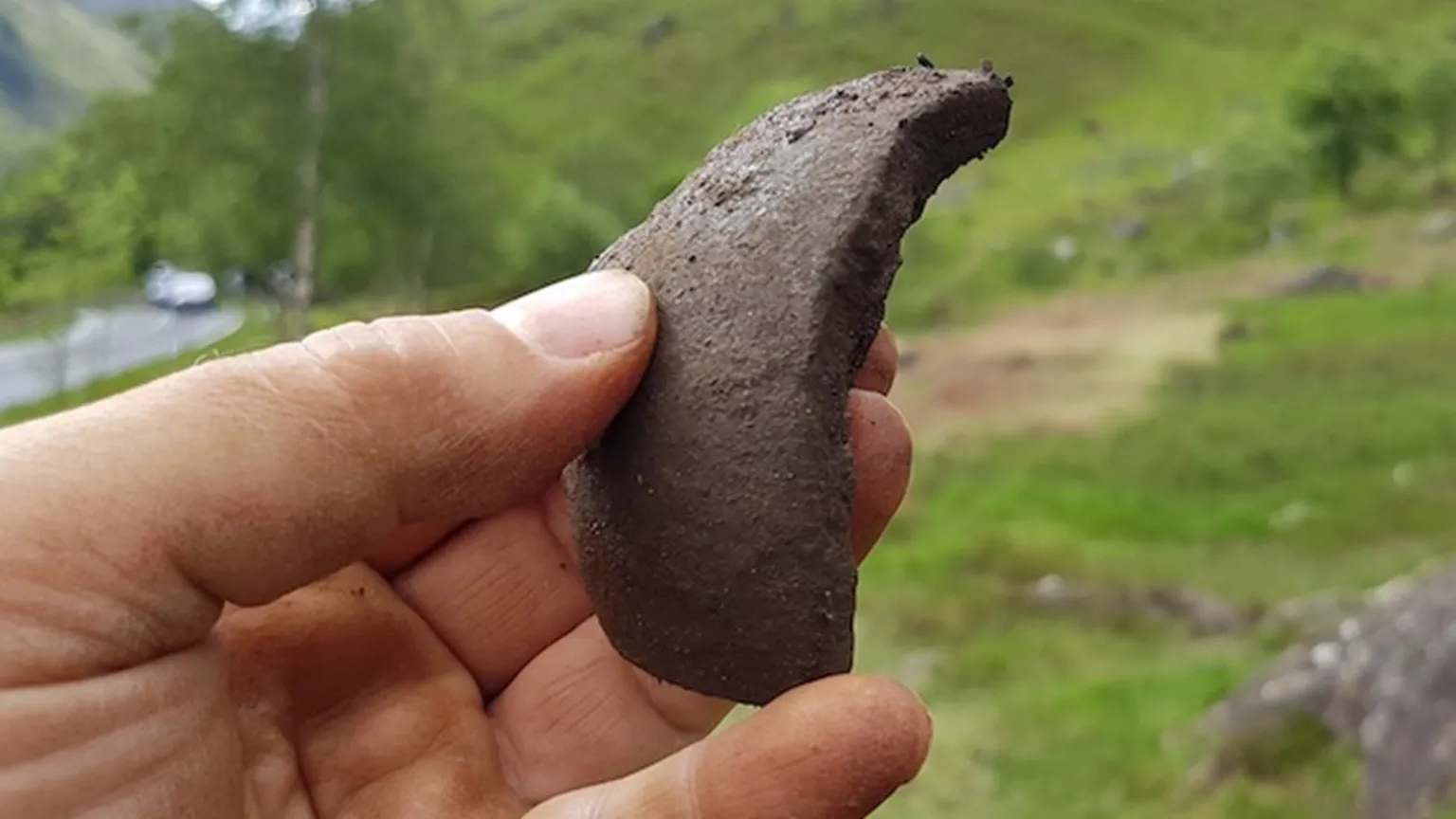 Shell fragment. Shell fragment
