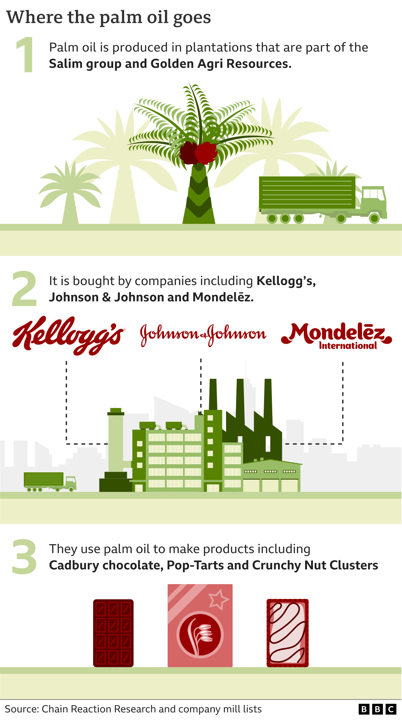 Graphic detailing the palm oil supply chain