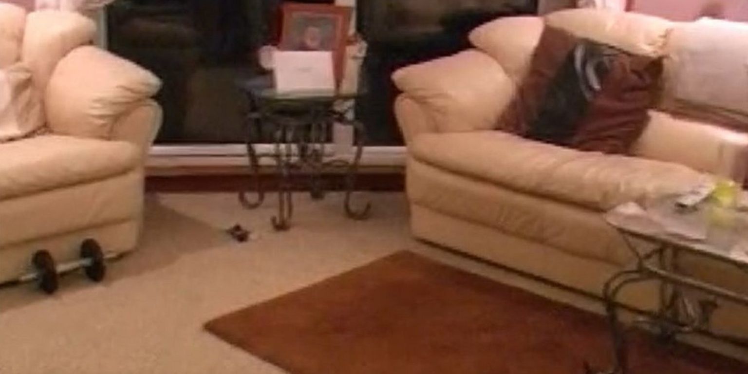 Dumbbell in Colin Marr's living room