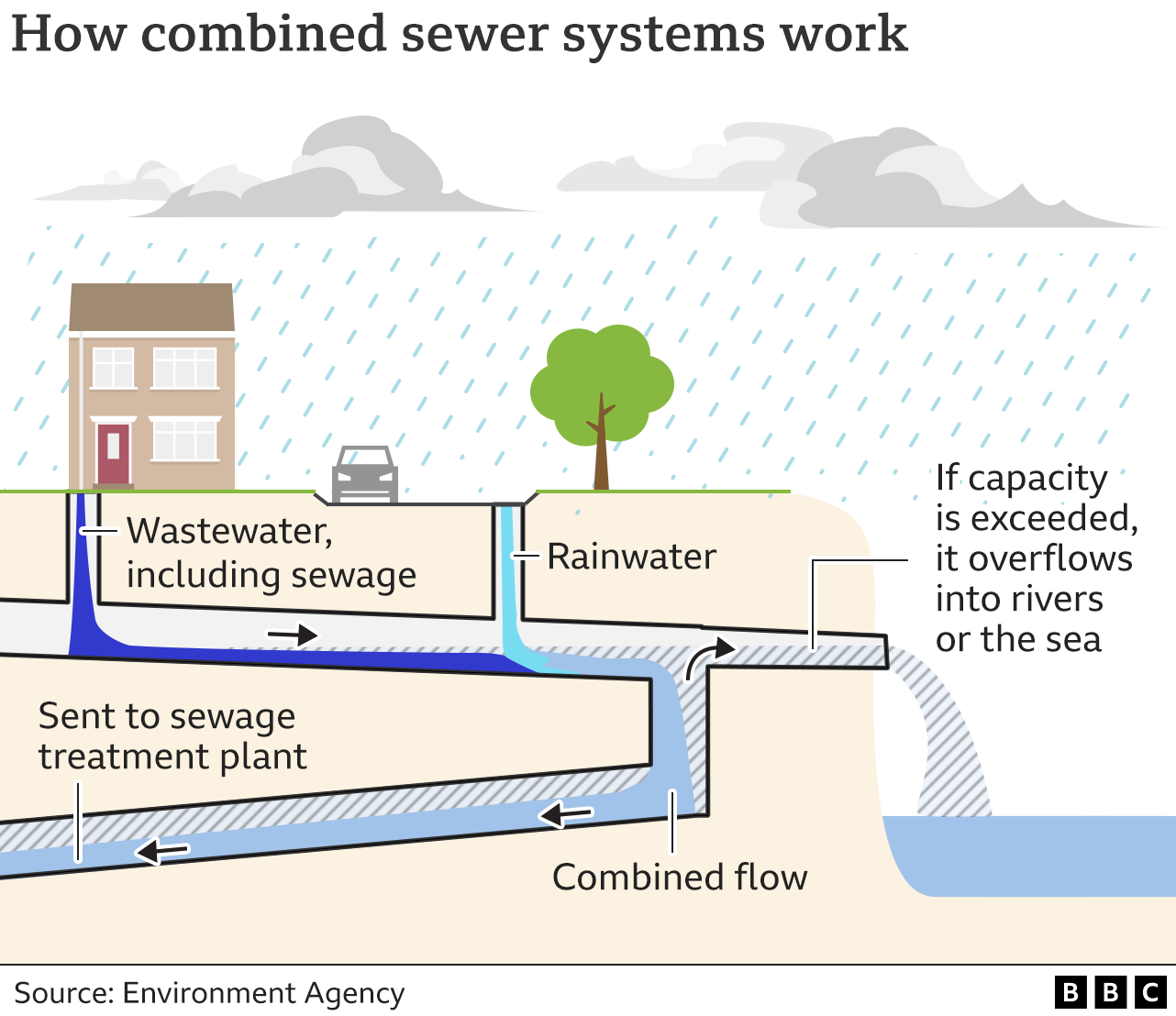 Graphic explaining how
                  combined sewer systems work