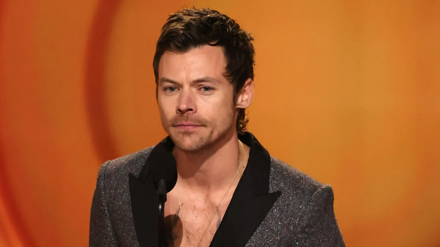 Harry Styles nombrado curador del Festival Meltdown 2026