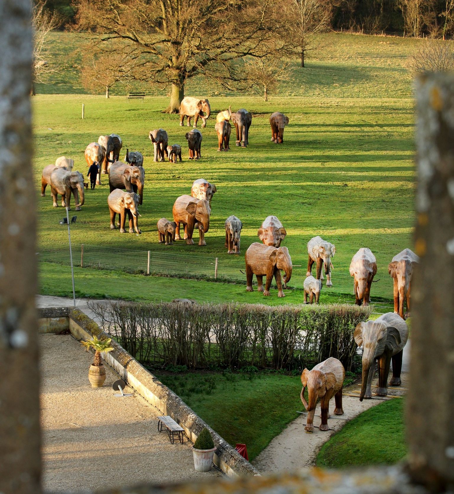 The CoExistence Herd at Sudeley Castle in Gloucestershire