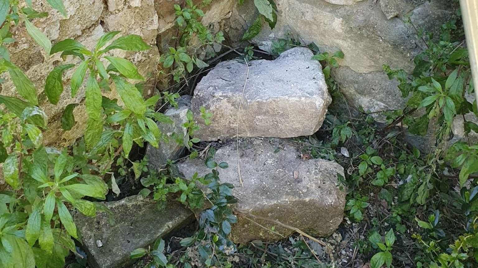 Several stone bricks sit in a pile at the base of a wall. There is green undergrowth surrounding them.