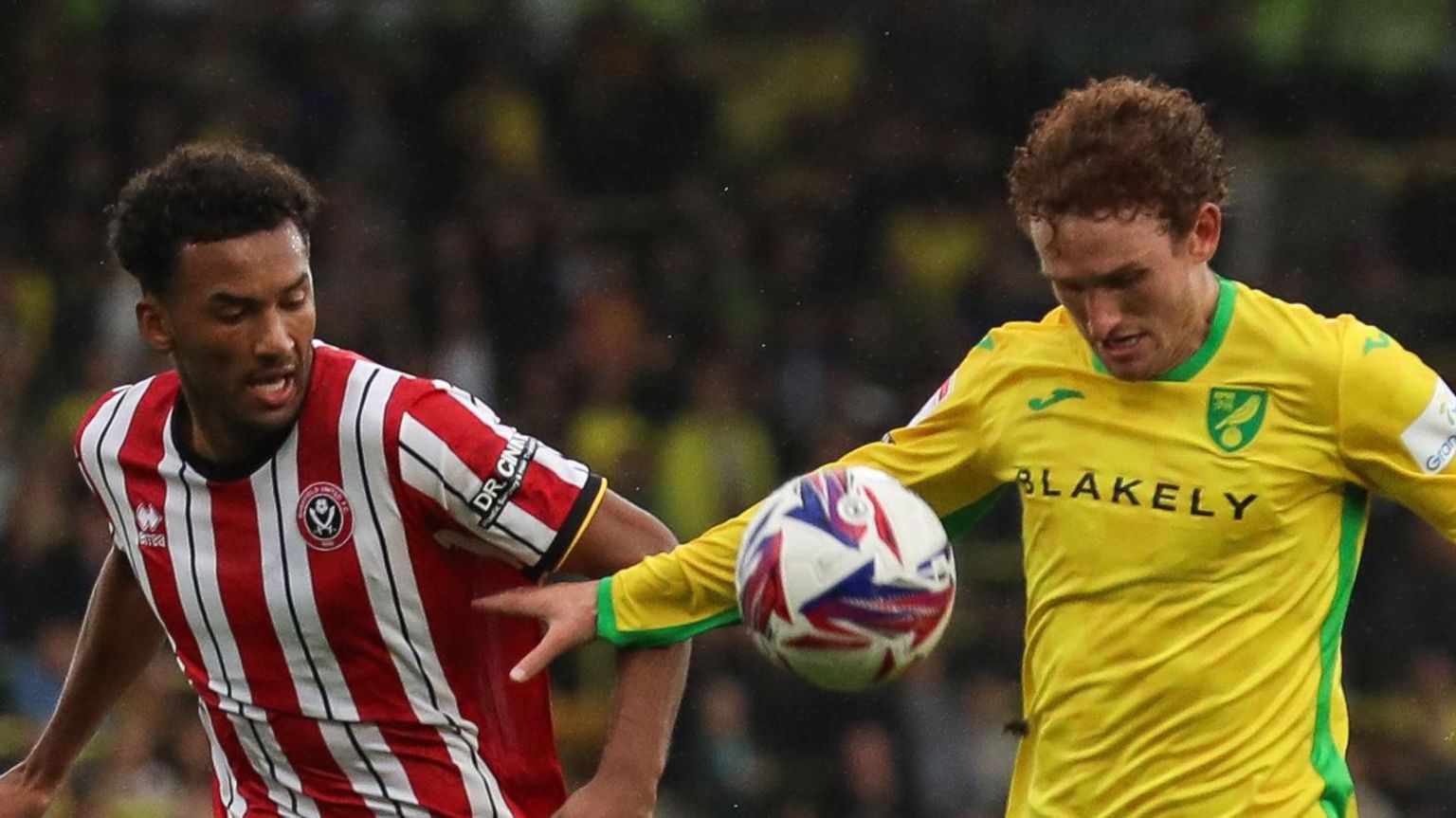 Josh Sargent in action for Norwich against Sheffield United