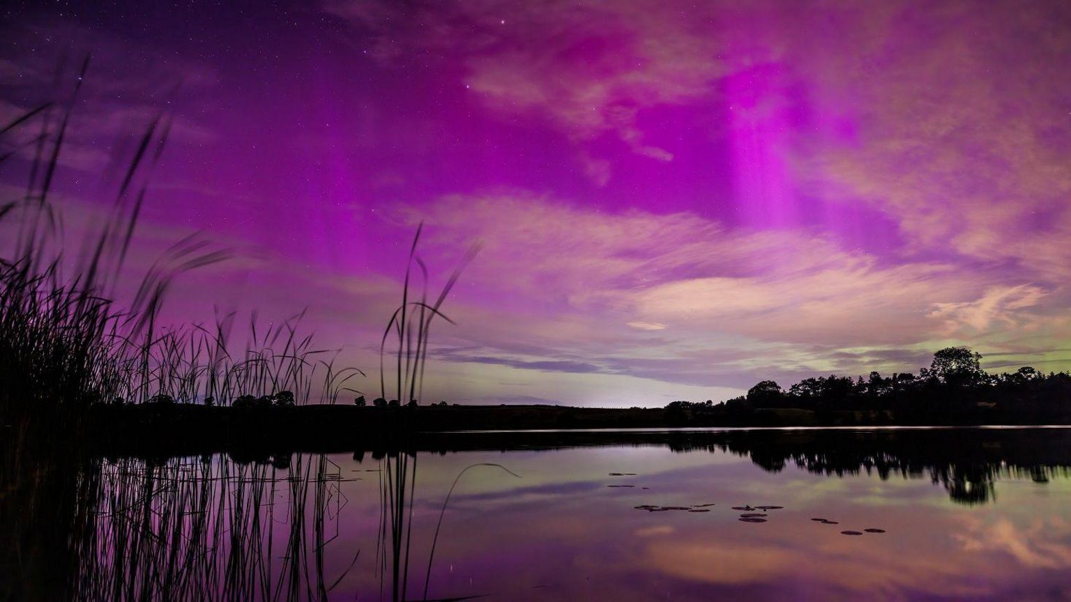 A body of water with silhouetted reeds and a trees and a bright purple sky reflected on the water's surface