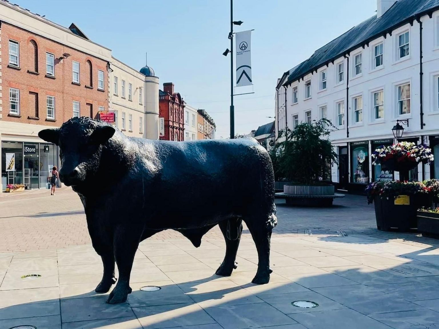 A large bronze sculpture of a Hereford bull standing on a pedestrianised street. Shops, benches and hanging baskets are visible in the background.