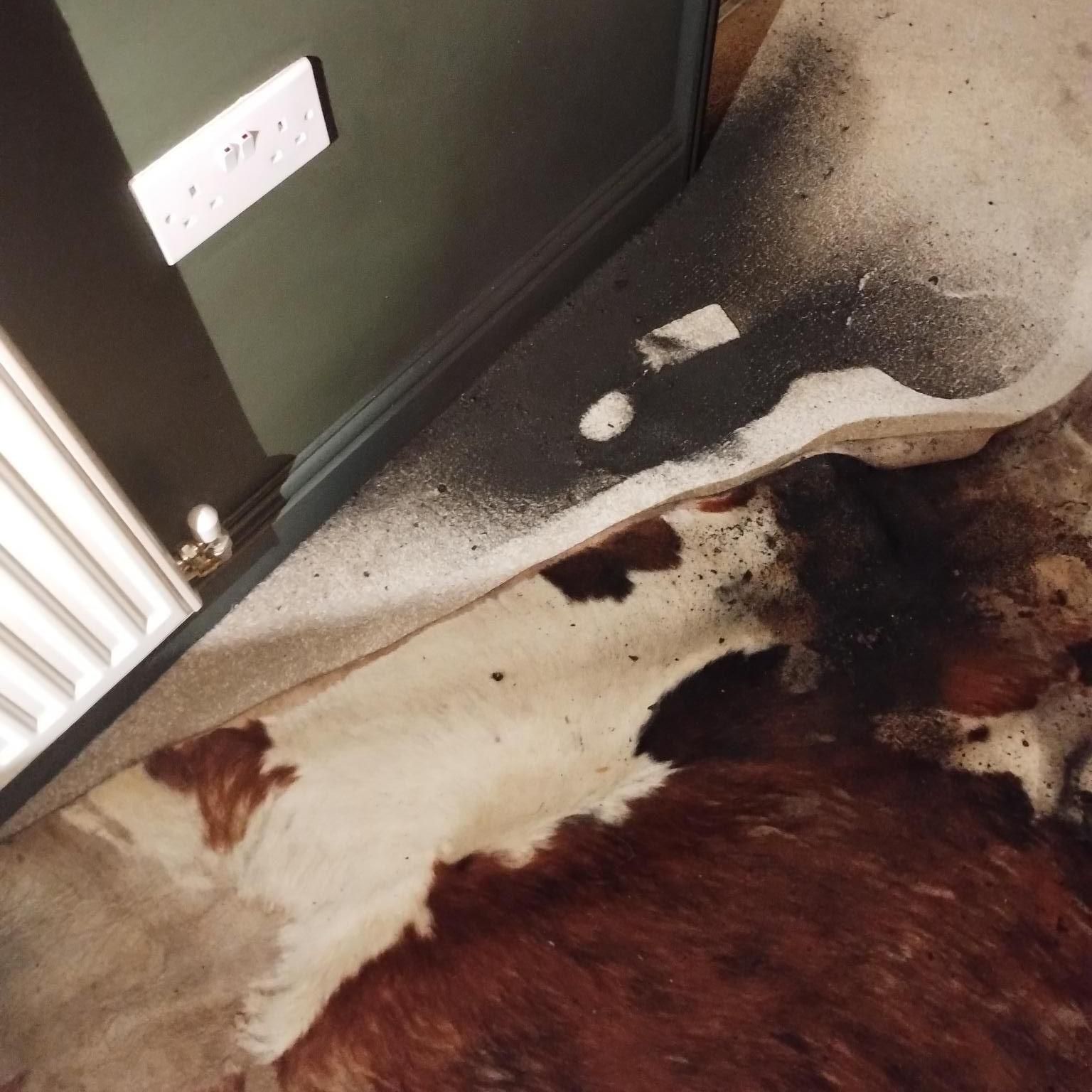 Fire damage to a carpet and wall