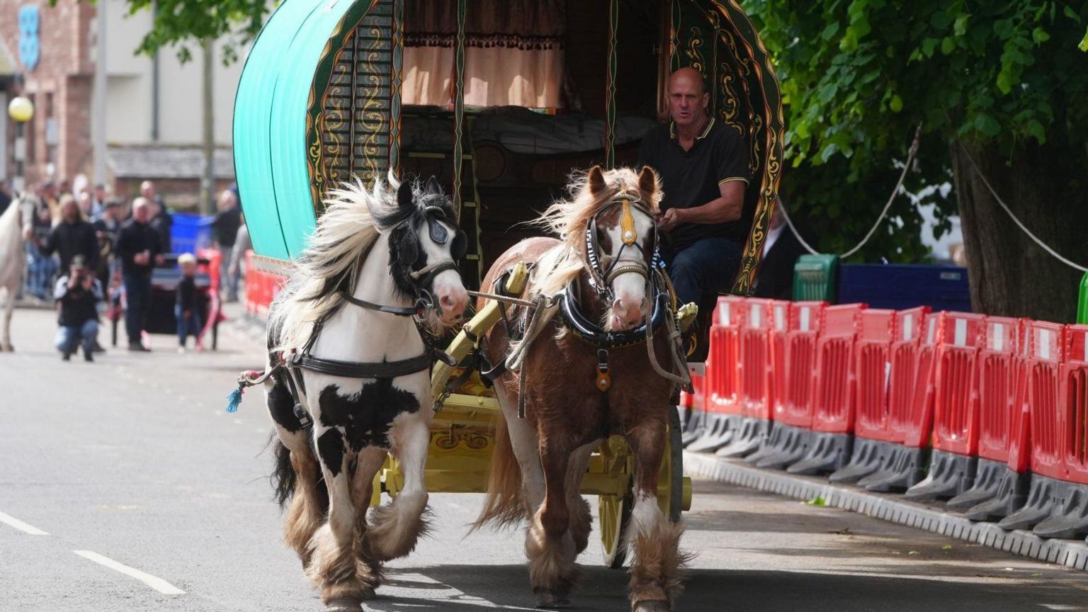 Horse-drawn bow-fronted caravan arriving at Appleby Horse Fair