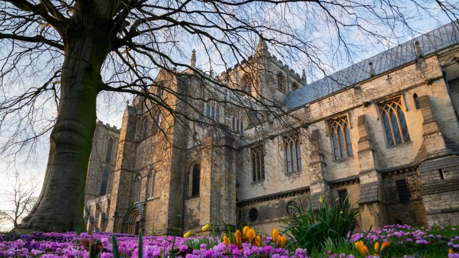 A picture taken from the ground of Ripon Cathedral with purple and orange flowers on the ground